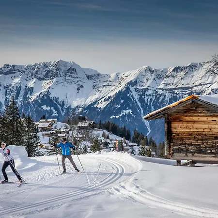 Lejlighed Peaceful Alpine Hideaway - Hot Tub & Terrace Axalp