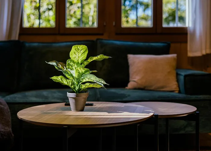 Peaceful Alpine Hideaway - Hot Tub & Terrace
