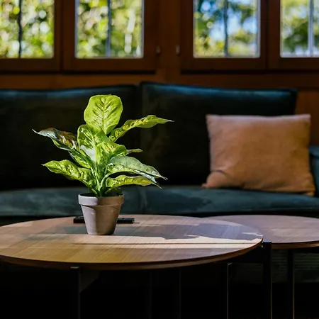 Peaceful Alpine Hideaway - Hot Tub & Terrace